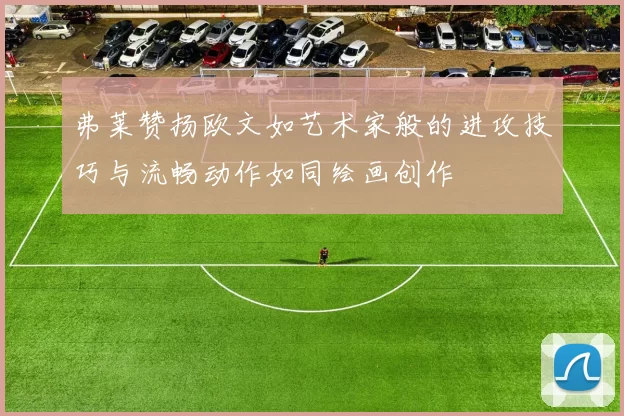 弗莱赞扬欧文如艺术家般的进攻技巧与流畅动作如同绘画创作