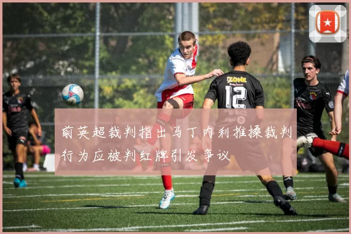 前英超裁判指出马丁内利推搡裁判行为应被判红牌引发争议
